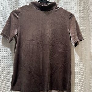 Zara Mauve Velvet Top